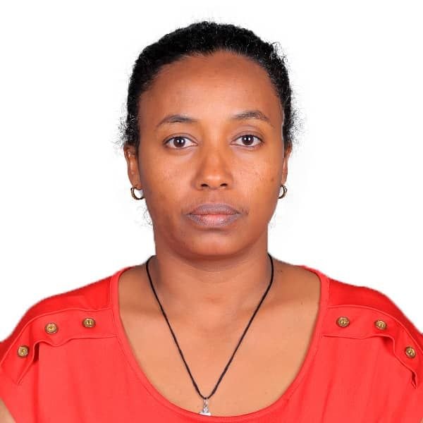 Committee Member