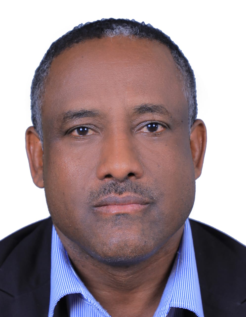 Committee Member